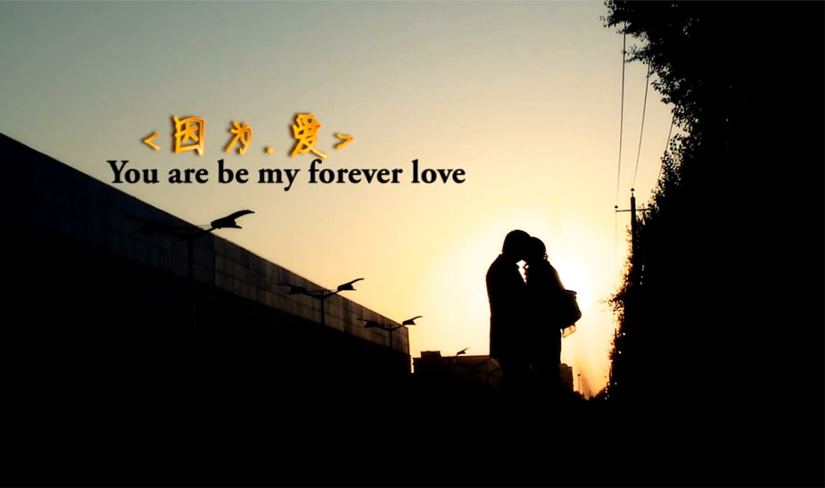 &#21916;&#21033;&#24471;&#40;&#20013;&#22269;&#41;